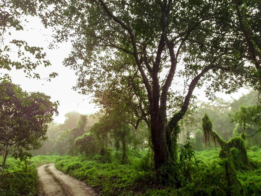 Kathmandu/Pokhara: Wildlife, Culture and Jungle Safari Tour photo 2