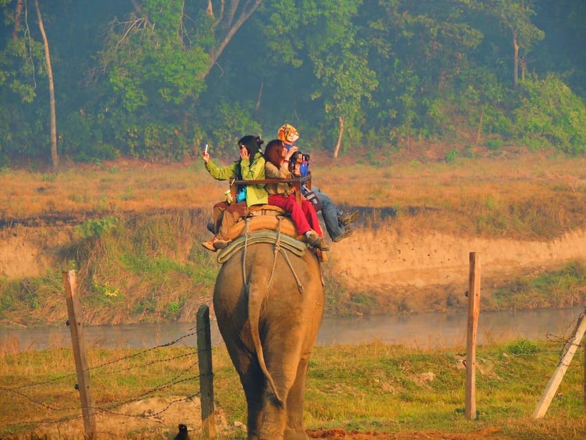 Kathmandu/Pokhara: Wildlife, Culture and Jungle Safari Tour photo 5