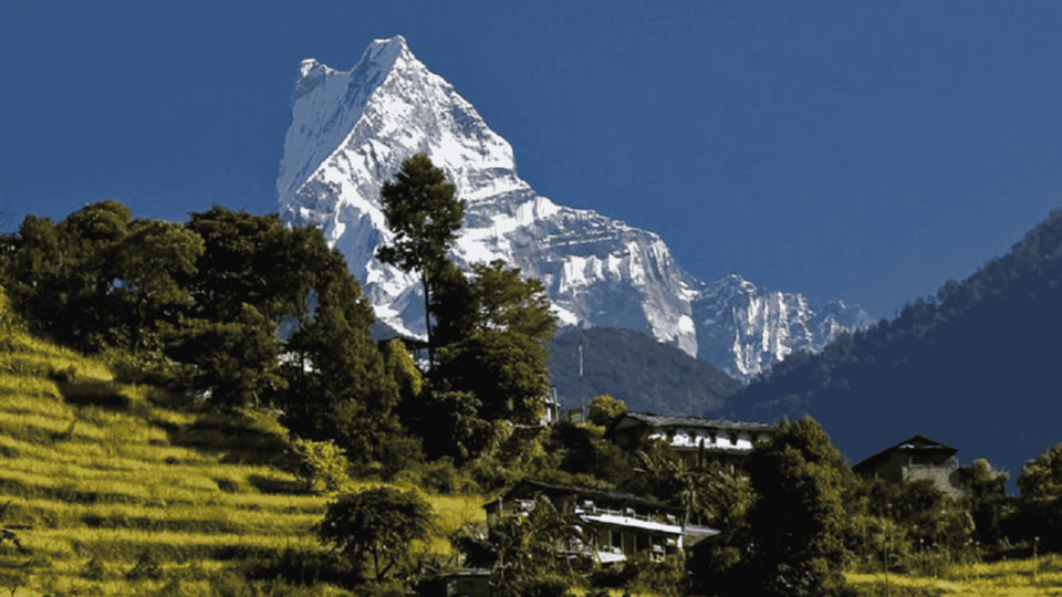 Day Hike from Dhampus to Australian Camp with Lunch