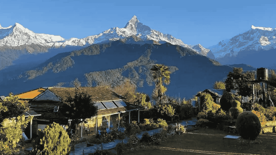 Day Hike from Dhampus to Australian Camp with Lunch photo 3