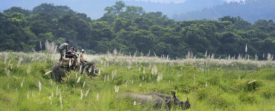 Kathmandu: 3 Day Chitwan Jungle Safari Tour Package photo 2