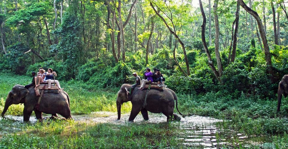 Kathmandu: 3 Day Chitwan Jungle Safari Tour Package photo 3