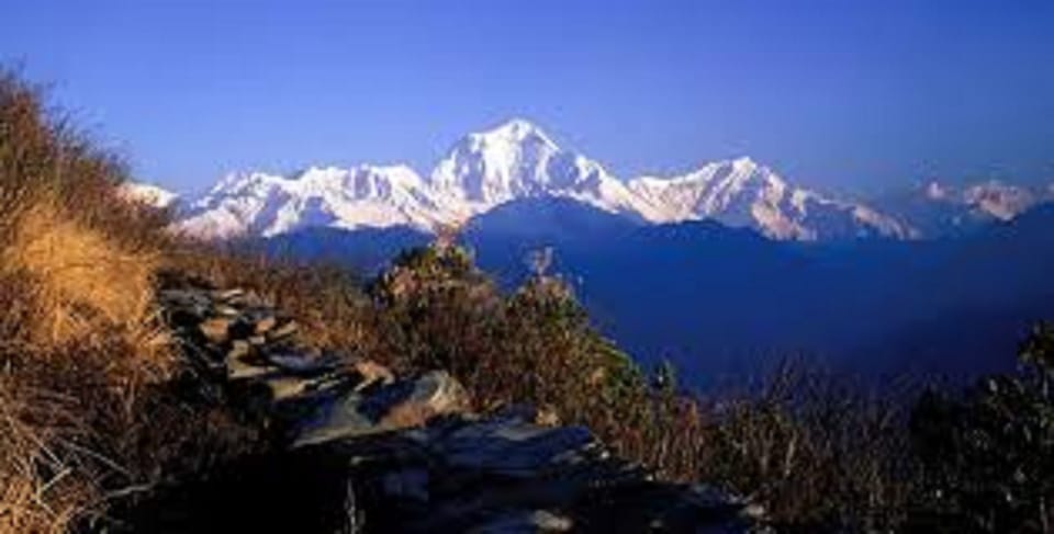 From Pokhara: 3 Day Amazing Ghandruk Poon Hill Trek photo 2