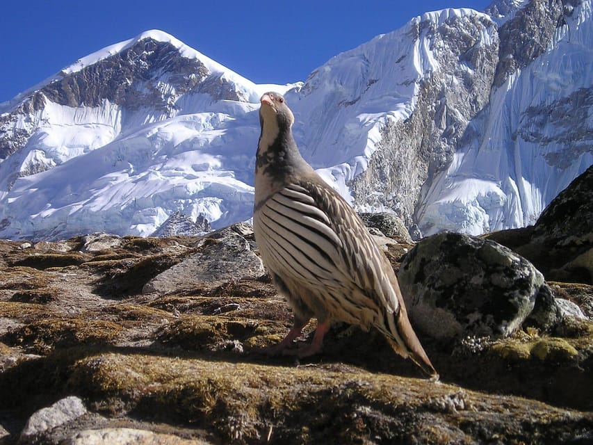 Upper Mustang trek Adventure: Mysteries of forbidden Kingdom photo 2
