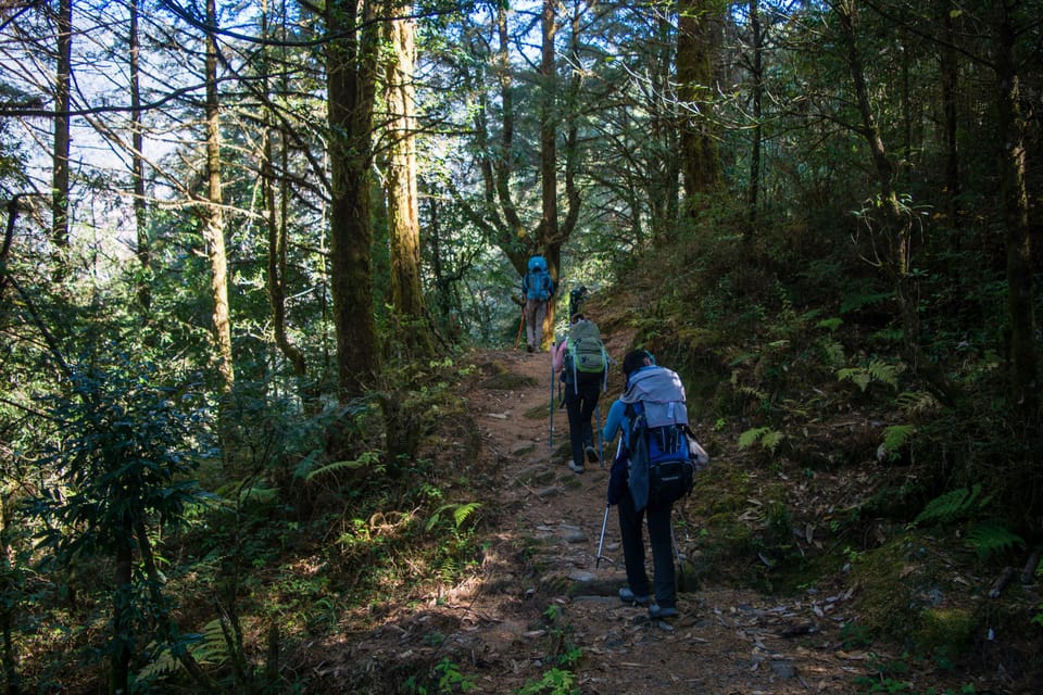 Pokhara: 9-Day Annapurna Base Camp Trek with Poon Hill photo 3