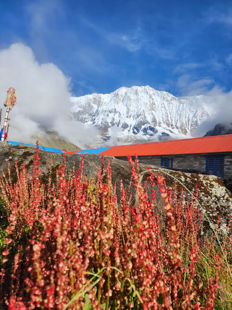 Pokhara: 9-Day Annapurna Base Camp Trek with Poon Hill photo 5