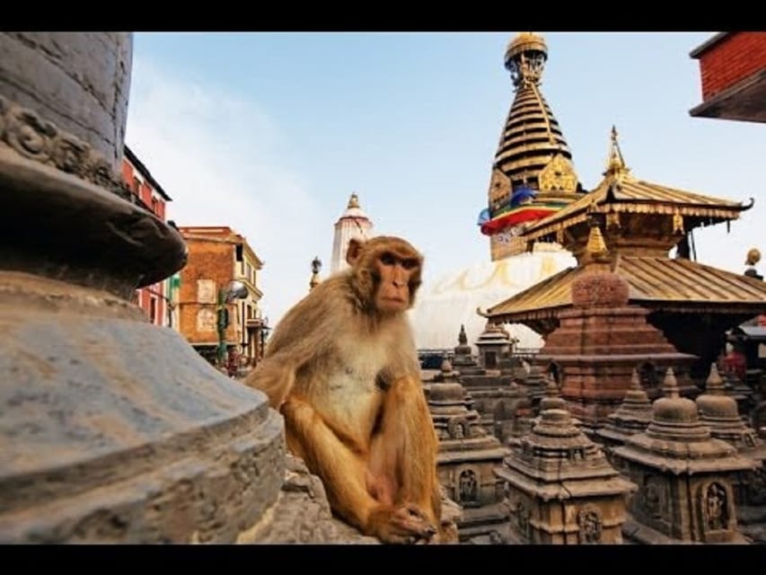 Discovering Kathmandu: Full-Day City Highlights Bus Tour photo 3