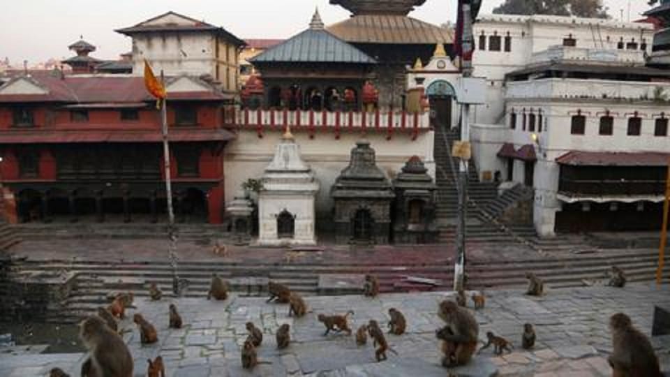 Discovering Kathmandu: Full-Day City Highlights Bus Tour photo 5