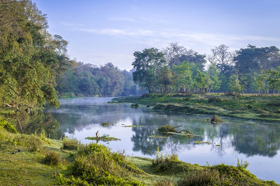 Chitwan Jungle Safari Tour: 3-Day Chitwan National Park Tour photo 5