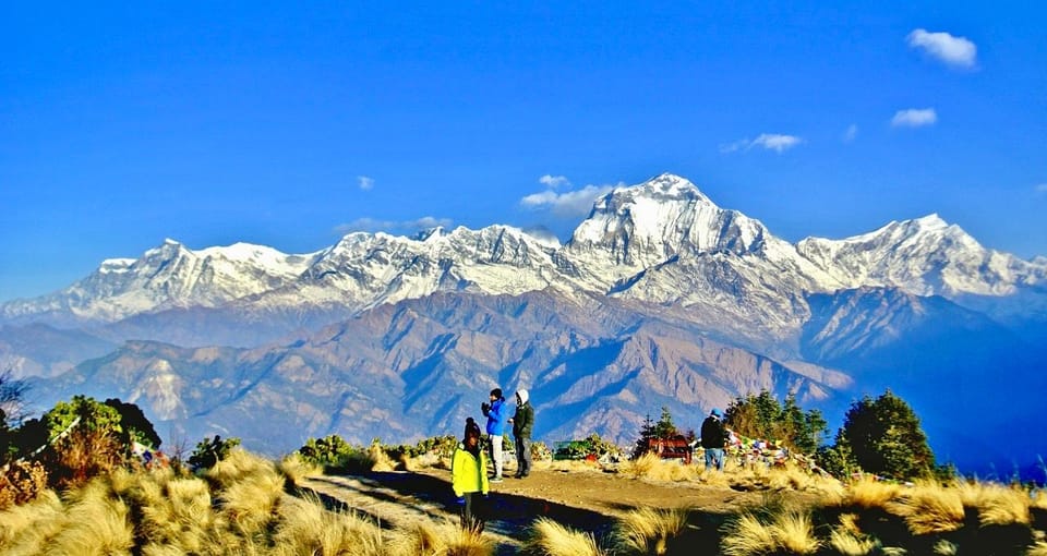 From Pokhara 7 Days (ABC) Trek With Poon Hill Sunrise photo 4