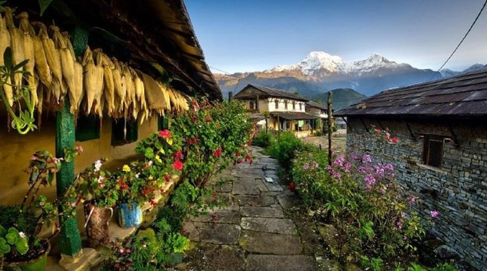 Pokhara: 3-Day Ghorepani, Poon Hill & Ghandruk Guided Trek photo 4