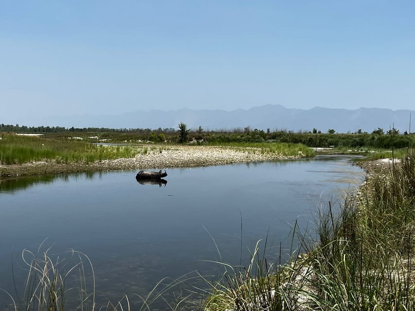 3 Nights 4 Days Chitwan National Park with Tower Night Stay photo 3