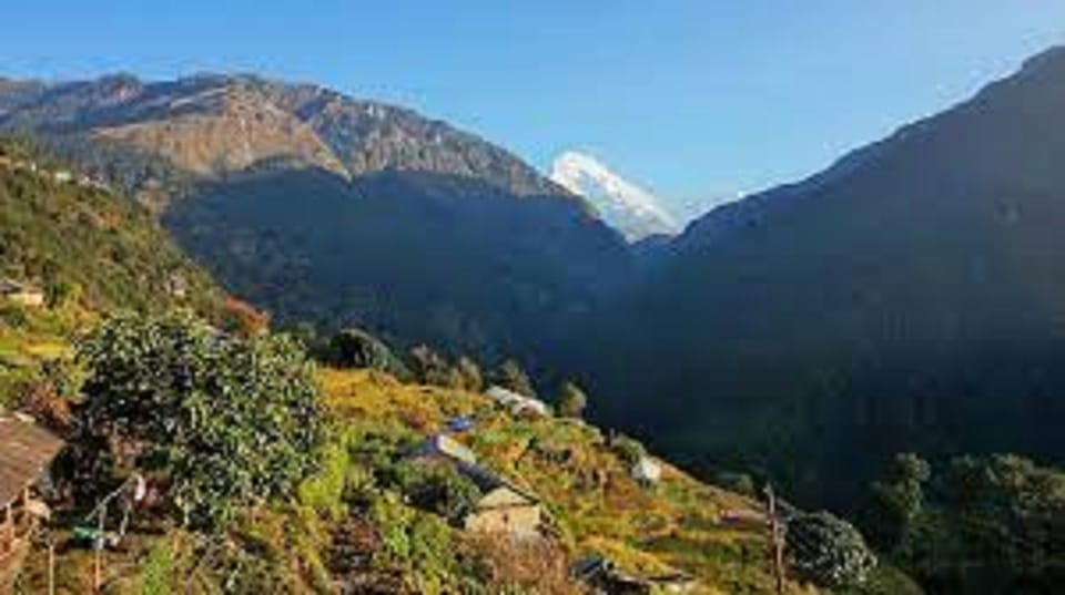From Kathmandu : 3 Night 4 Day Poon Hill Trek photo 5