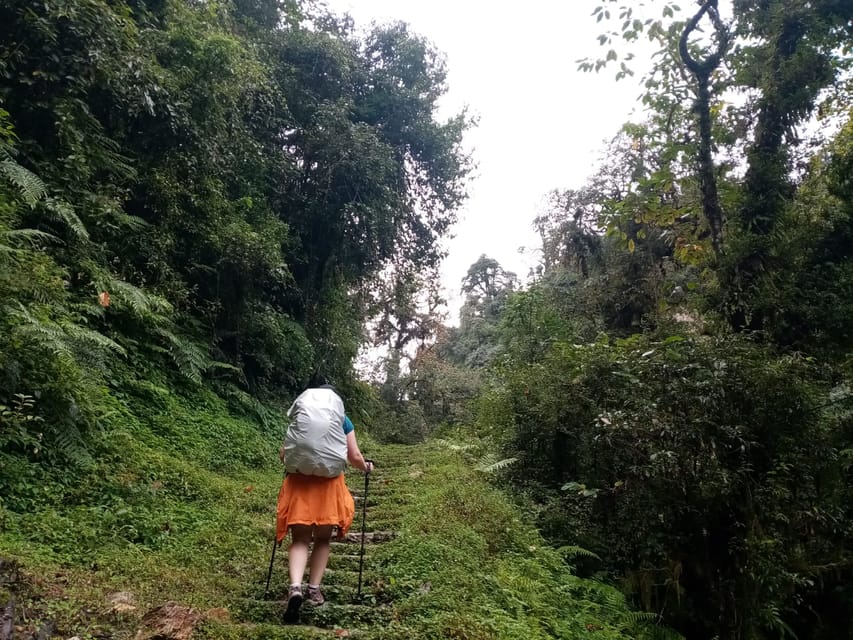 From Pokhara group budget: 4 Day Poon Hill Trek photo 4