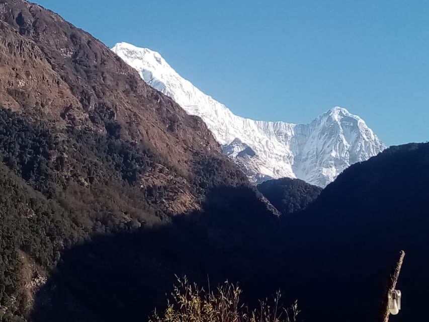 From Pokhara group budget: 4 Day Poon Hill Trek photo 5