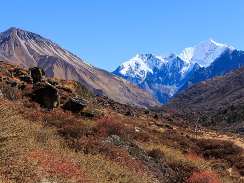 Kathmandu: 6 Days Langtang Valley Trek with Kyanjin Ri photo 3