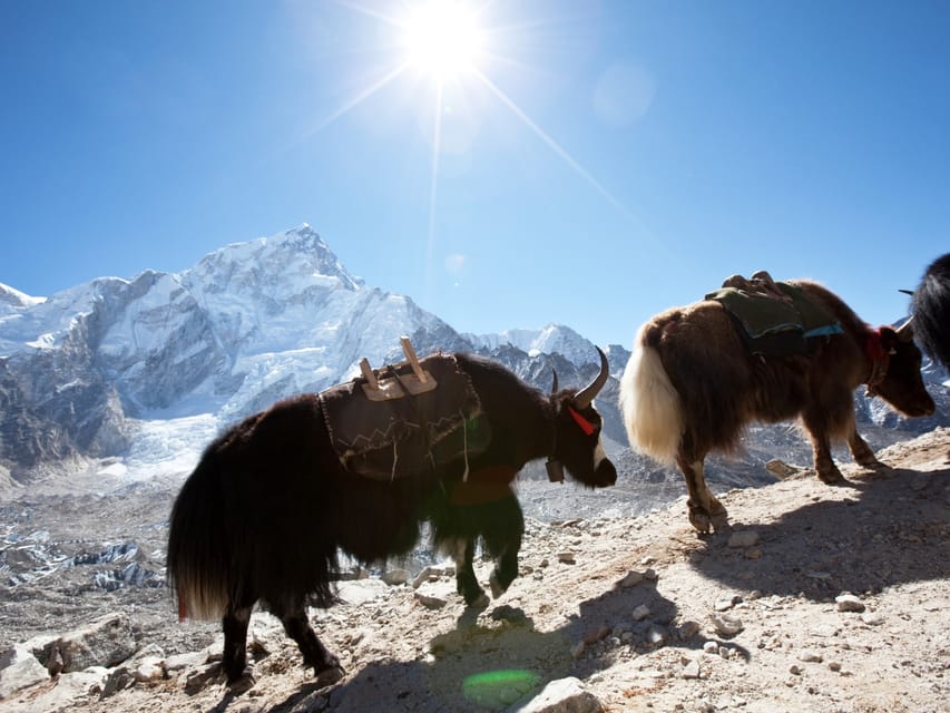 Kathmandu: 6 Days Langtang Valley Trek with Kyanjin Ri photo 4