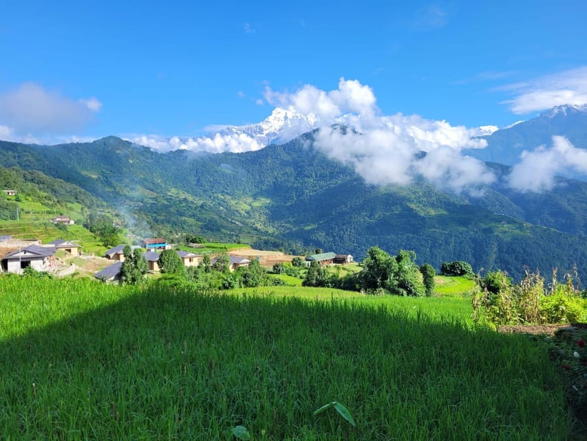 Pokhara: 1-Day Hike to Australian Camp and Dhampus Village photo 2