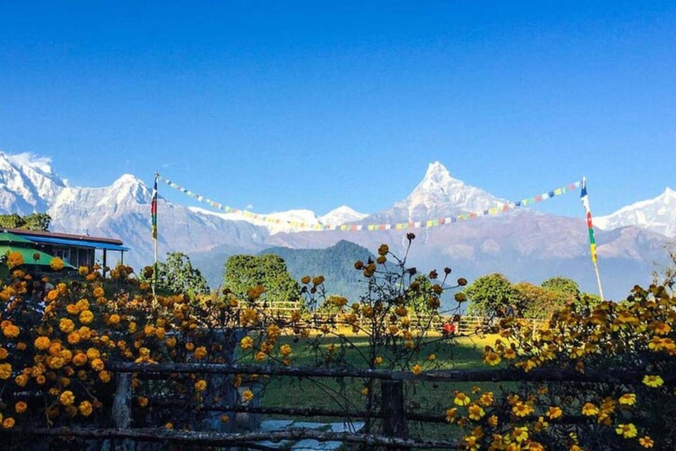 Pokhara: Poon Hill Trek photo 2