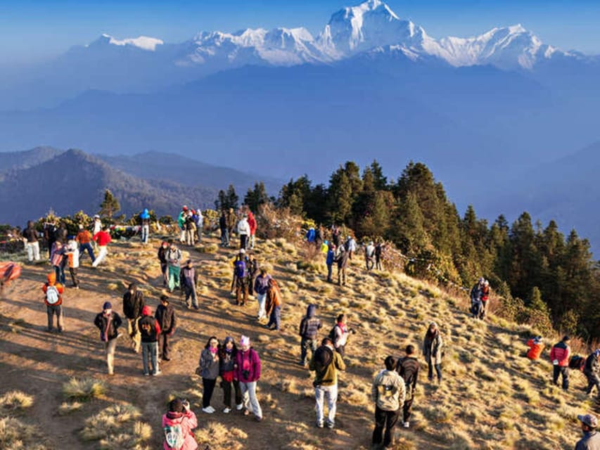 Pokhara: Poon Hill Trek photo 4