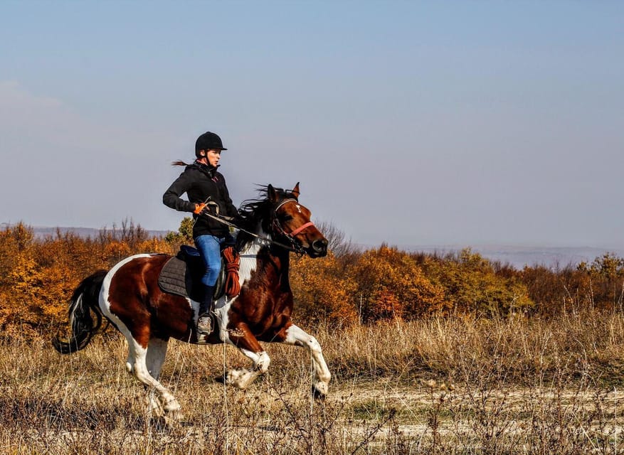 Pokhara: Horseback Adventure photo 5
