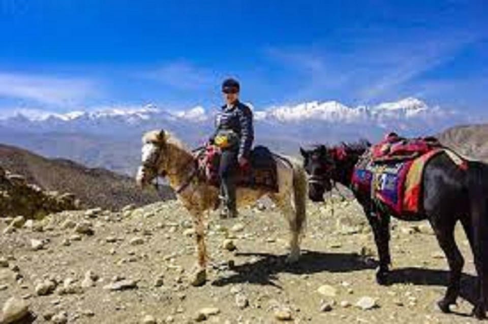 Pokhara: 1-Hour Horseback Ride with Hotel Pickup photo 5