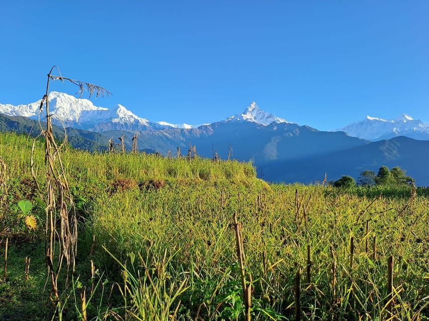 Pokhara: 2-Day Australian Camp & Dhampus Village Easy Hike photo 5
