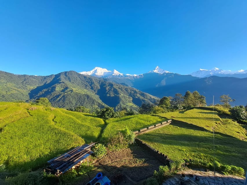 From Pokhara: 3-Day Ghorepani Poonhill Short Trek photo 5