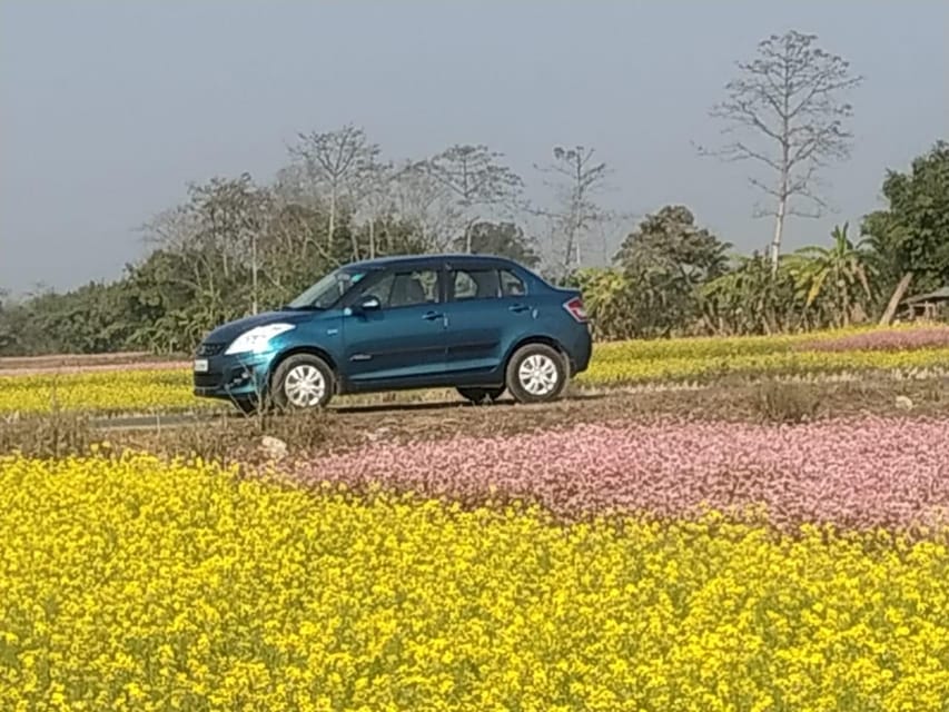 Kathmandu to Chitwan (Sauraha) Private Transfer photo 3