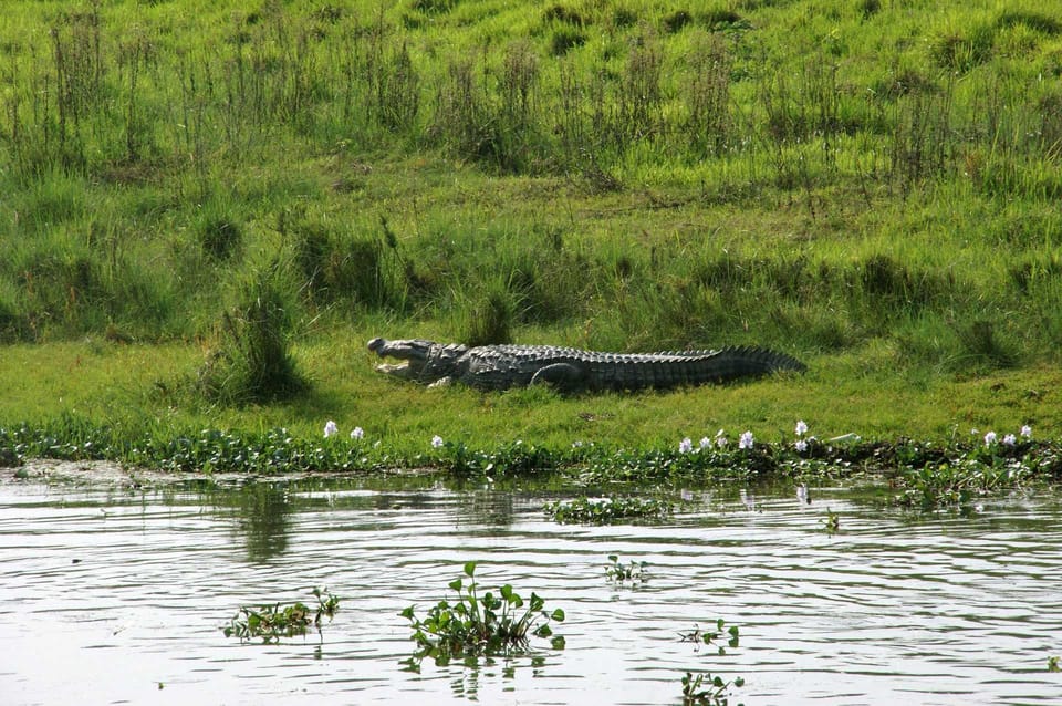 Pokhara: 1 Night 2 Day Chitwan Safari Tour photo 3