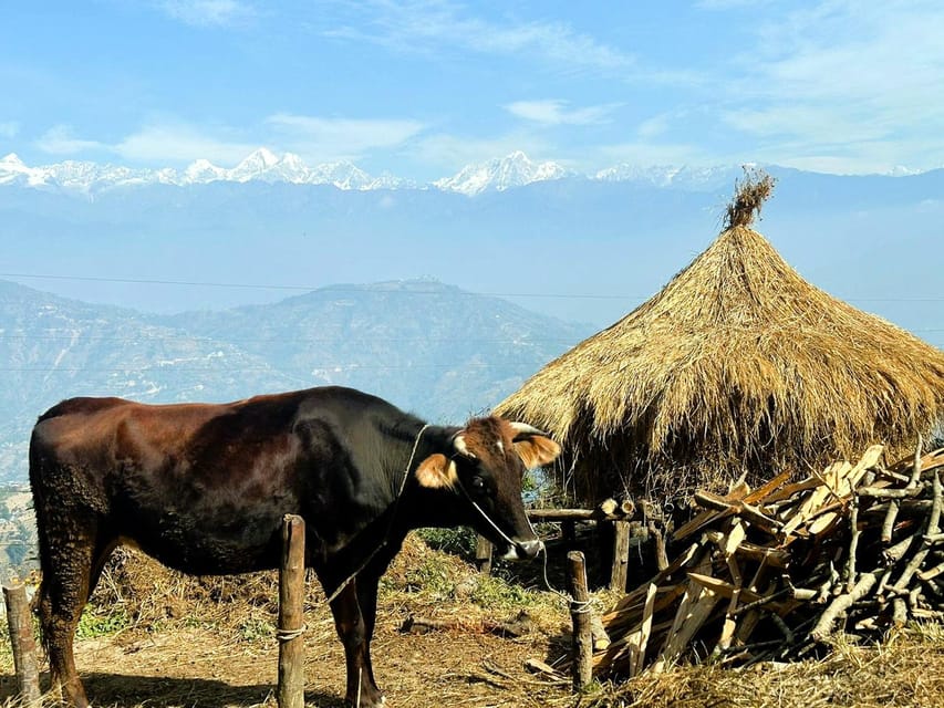 Kathmandu - Shanku - Nagarkot : 1-Day Nagarkot Sunset Tour photo 2