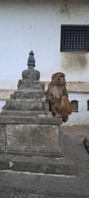 Kathmandu: Chandragiri cable car & Swayambhunath Tour photo 5