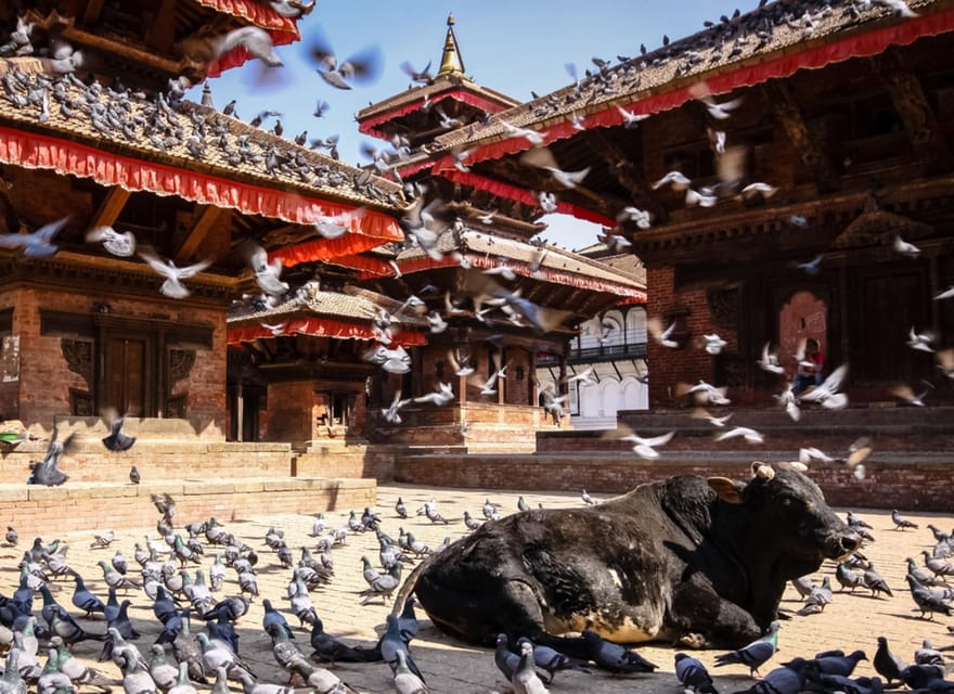 Kathmandu : Full Day Sightseing Tour with Private Transfer photo 2