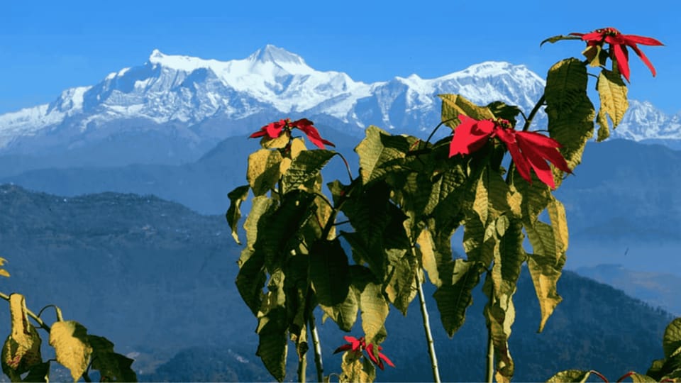 Pokhara: Pagoda, Waterfall & Cave – Private Short Trip photo 4