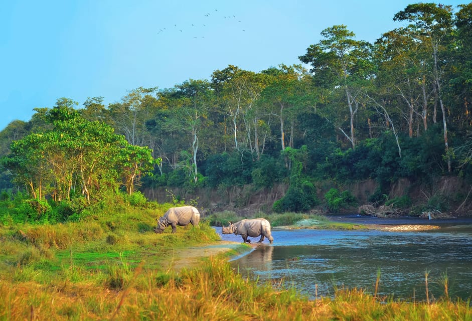 Kathmandu/Pokhara: 3 Day Chitwan Jungle Safari Tour photo 2