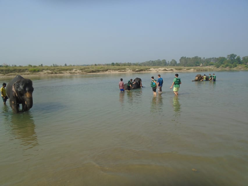 Luxury Chitwan Jungle Safari Package (2Nights/3Days) Resort photo 2
