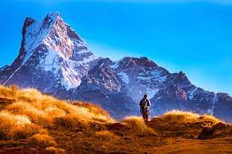 From Pokhara: 4 days Mardi Himal trek photo 2