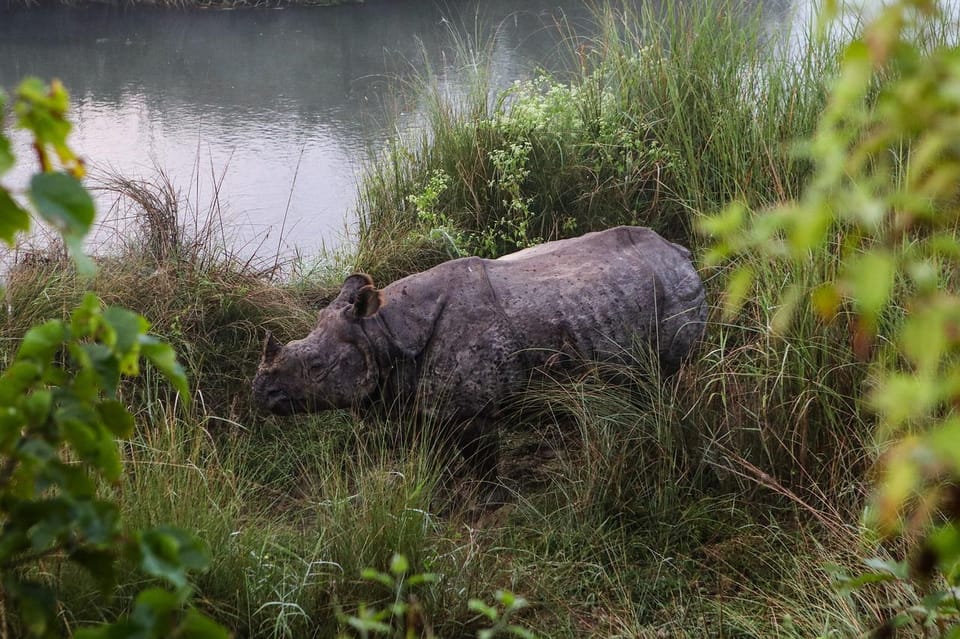 Kathmandu to Chitwan Tourist Bus photo 2