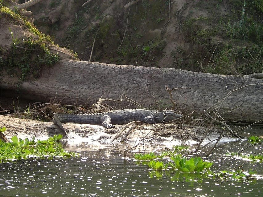 Kathmandu to Chitwan Tourist Bus photo 4