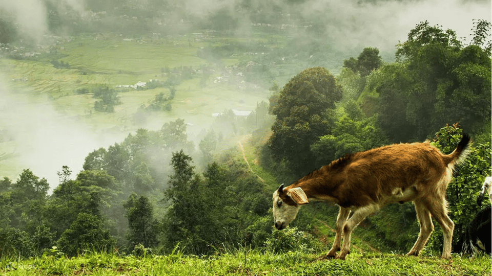 Nagarkot Sunrise & Day Hike with Lunch photo 2