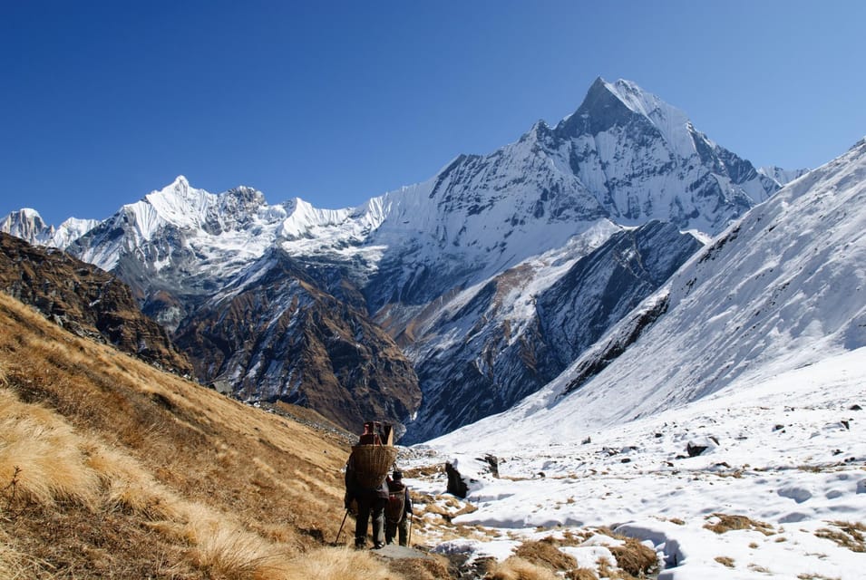 Pokhara: 5 Days Annapurna base camp (ABC) Trek photo 4
