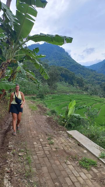 Yogyakarta :selogriyo temple, rice field trek& nepalvan java photo 4