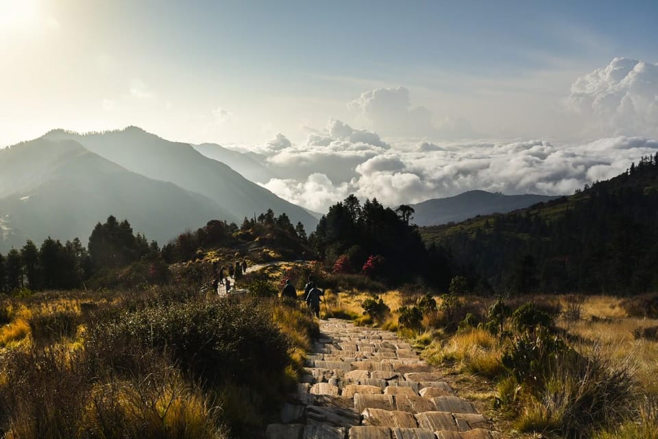 Pokhara: 2 days trek to Ghorepani Poon-Hill - Nepal photo 2
