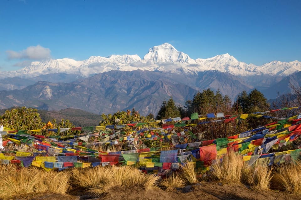 Pokhara: 2 days trek to Ghorepani Poon-Hill - Nepal photo 4