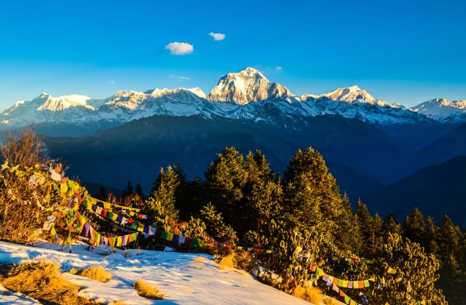 Pokhara: 2 days trek to Ghorepani Poon-Hill - Nepal photo 5