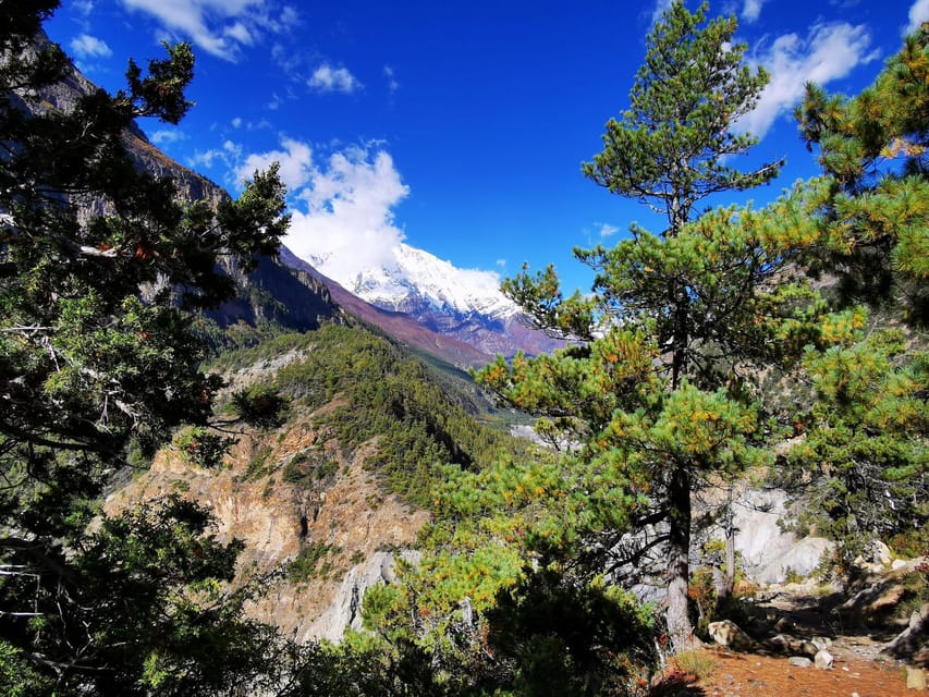 From Kathmandu Budget: 8 Day Private Annapurna Circuit Trek photo 5