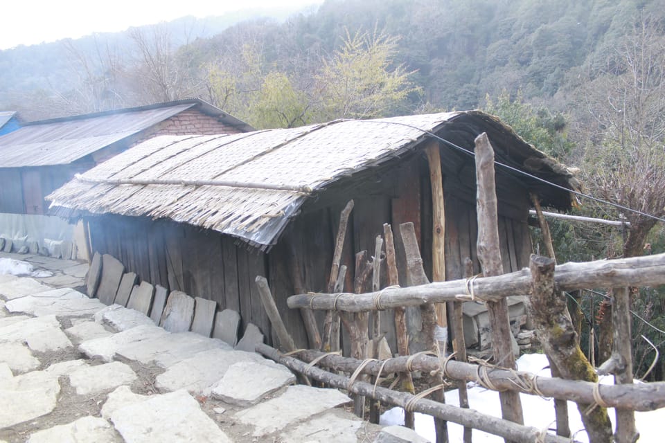 From Pokhara Budget: 2 Day 1 Night Ghorepani Poon Hill Trek photo 4