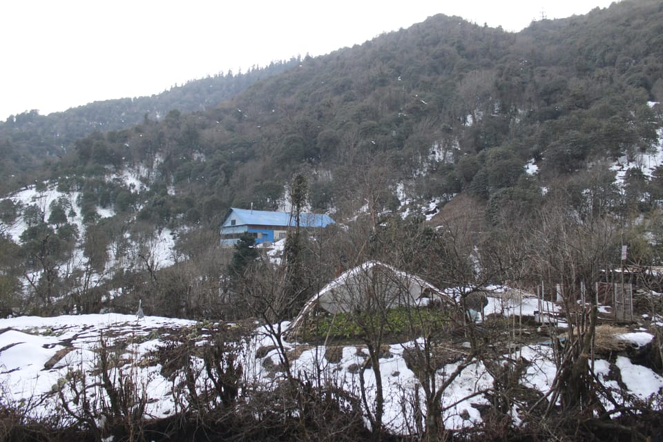 From Pokhara Budget: 2 Day 1 Night Ghorepani Poon Hill Trek photo 5