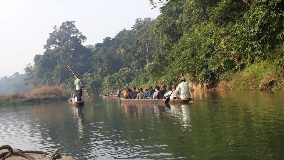 Chitwan: 4-Day Chitwan National Park Tiger Safari Tour photo 5