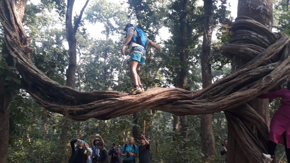 Nepal: Chitwan National Park 3-Day Jungle Tower Stay photo 5